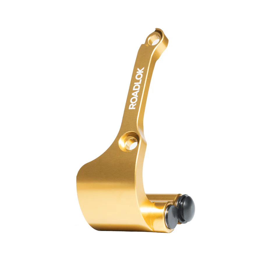 Roadlok XRA Eurosport ART4 100mm disc lock on BMW R1250GS and R1200LC motorcycle, showing the gold-colored security device.
