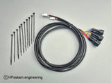 BMW LED embleem knipperlicht for R1300GS Adventure, 70mm ApexMoto LED emblem with bright, modern lighting design.